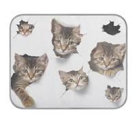 Ewusp Cute Cats Dog Cooling Mat 50x70 cm Scratch-Resistant Pet Cool Mat Self Cool Ice Silk Bed Pad Summer Cooling Sleeping Pad for Dogs & Cats