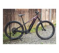 EX HIRE TREK Powerfly+ 6 Gen 5 800Wh Electric Mountain Bike in Sunburst and Dark Star XL