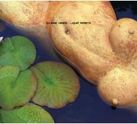 Ex-Wise Heads - Liquid Assets