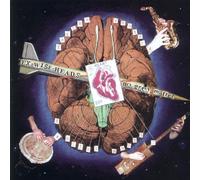 Ex-Wise Heads - No Grey Matter