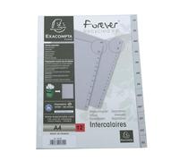 Exacompta 10 dividers grey recycled PP 12 monthly tabs