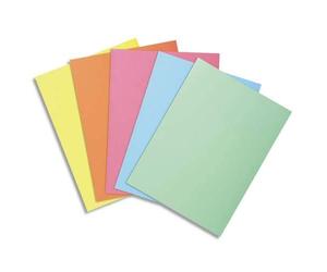 Exacompta 10 packs of 100 inner folders Super assorted