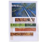 Exacompta 100 cut flush folders A4 PP smooth 12/100 mm crystal