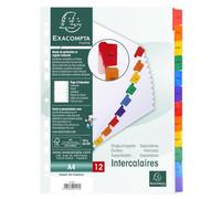 Exacompta 20 dividers white card 12 monthly tabs coloured