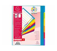 Exacompta 25 dividers PP rigid semi-opaque 6 blank tabs Campus