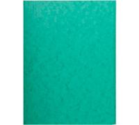 Exacompta 3 Flap Folder 56415E A4 Green Glossy Card 24 x 0.3 x 32 cm Pack of 25