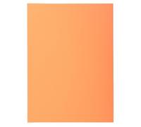 Exacompta - 850102E - Box of 10 Packages of 100 sub-folders Super 60 g/m² in Pastel Colours - PEFC™ Certified Document folders - Dimensions 22 x 31 cm for DIN A4 - Colour Bubble