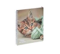 EXACOMPTA - 999169E - Animal Notebook - 17 x 22 cm - Cat Design