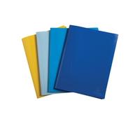 Exacompta Bee Blue Display Book 30 Pocket PP A4 Assorted (Pack of 12)