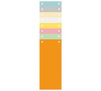 Exacompta Blank Dividers Special format Assorted Multicolour 100 Part Cardboard 2 Holes 13395B Pack of 1200