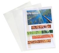 Exacompta Cut Flush Folder 56111E Transparent Polypropylene 120 Microns Pack of 100