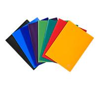 Exacompta - Ref 8550E - Soft PP Welded Display Book - Suitable for A4 Documents, Lightweight, 50 Pockets, 100 Viewing Pages - Assorted Cover Colours (Pack of 12)