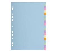 Exacompta dividers pastel card Forever 20 blank tabs A4