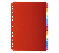 Exacompta Blank Dividers A4 Assorted 12 Part PP (Polypropylene) 11 Holes 3912E