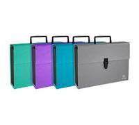Exacompta Expanding File Special format Blank Coated Card Assorted 56750E 32 (W) x 24 (H) cm Pack of 4