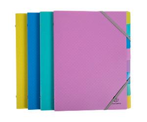Exacompta Forever Young Multipart File 56190E A4 PP (Polypropylene) Assorted 24.5 (W) x 1 (D) x 32 (H) cm Pack of 8