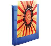 Exacompta Kreacover 15 mm Ring Binder PP (Polypropylene) A4 4 Rings Assorted 51989E Pack of 20