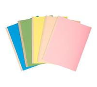Exacompta Multipart File 771000E A4 Assorted Mottled pressboard 24 x 32 cm Pack of 250