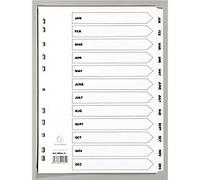 Exacompta Mylar Dividers A4 White Jan-Dec 12 Part Cardboard 11 Holes MWDJ-DZ