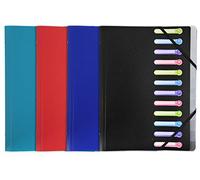 Exacompta PP 500μ Folder, with Elastic Strap, 3 Flaps, Index Window, Opaque, DIN A4, 21 x 29.7 cm, 1 Item 12 compartments assorted colours