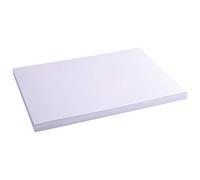 Exacompta - Ref 13304E - Bristol Plain Record Cards (Pack of 100) - A3 in Size, 205gsm Card, Compatible with Printers - Suitable for Exam Revision & Notes - White