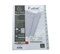 Exacompta - Ref 1812E - PP Printed Indices - For Use With A4 Documents, 0.1mm Polypropylene, Pre-Punched, Soft & Tear Resistant - 12 Divider Parts (Janvier - Decembre) - Grey