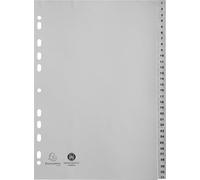 Exacompta - Ref 1931E - PP Printed Indices - For Use With A4 Documents, 0.1mm Polypropylene, Pre-Punched, Soft & Tear Resistant - 31 Divider Parts (1-31) - Grey
