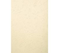 Exacompta - Ref 2785C - Forever Collection - Recycled Rigid Presentation Covers - A3 (297 x 420mm), Leather Grain Effect, 270gsm Rigid Card - Ivory (Pack of 100)
