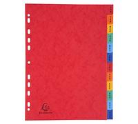 Exacompta - Ref 3109Z - Europa Collection - Printed Indices - Suitable for Use With A4 Documents, 225gsm Premium Pressboard, 12 Parts (Jan-Dec) - Multicoloured