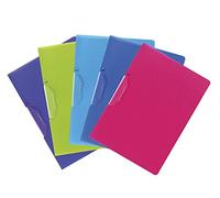 Exacompta - Ref 47700E - Semi-Rigid Translucent PP Presentation Clip Folder - Suitable for A4 Documents, 0.5mm Polypropylene - Assorted Colours (Pack of 5)