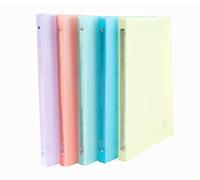 Exacompta - Ref. 51170E - Set of 5 flexible PP Chromaline binders - 4 round rings diameter 15 mm - Spine 20 mm - External dimensions: 32 x 25 cm - A4 file format - 5 assorted colors