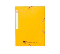 Exacompta - Ref 5266Z - Europa - Elasticated Filing Box, A4, 25mm Spine, Holds A4 Documents, Flat-Packed for Storage, Easy Assembly, Secure Elastic Straps, Spine Label - Yellow