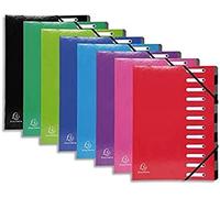 Exacompta - Ref 53929E - Iderama Collection - Harmonika Multipart File - 245 x 320mm in Size, Suitable for A4 Documents, 12 Multi-coloured Tabbed Sections - Assorted Colours (Pack of 8)