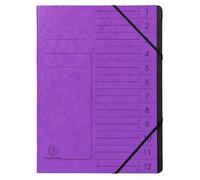 Exacompta - Ref 541208E - Box of 10 Staple-Backed folders - Elastic Bands - Printed Glossy Cardboard Cover - Black Recycled Card Inside - 12 compartments - 24.5 x 32 cm - A4