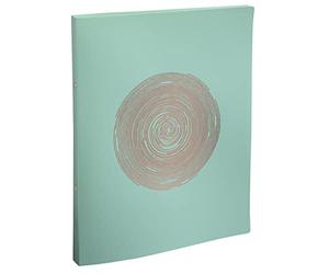 Exacompta - Ref. 54890E - Box of 20 Ellipse recycled PP flexible binders - 2 round rings 15 mm diameter - 20 mm spine - external dimensions 32 x 25 cm - A4 file format - assorted colors