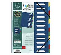 Exacompta - Ref 55122E - Harmonika Multipart File - 24.5 x 32cm in Size, Suitable for A4 Documents, 12 Multi-Coloured Tabbed Sections, Premium Pressboard Cover - Blue Cover