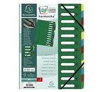 Exacompta - Ref 55123E - Harmonika Multipart File - 24.5 x 32cm in Size, Suitable for A4 Documents, 12 Multi-Coloured Tabbed Sections, Premium Pressboard Cover - Green Cover