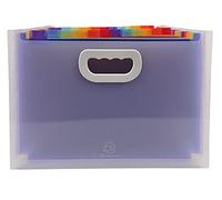 Exacompta Expanding File with Handles 24 Part 33x23.5 Pack of 4, none