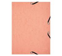 Exacompta - Ref. 555667E - Cardboard of 10 Shirts with 3 Aquarel Elastic Flaps + 25 Bristol A5 Tokens - Special Review for an Organization by Subject or Material - Coral