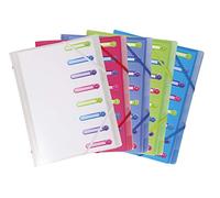 Exacompta - Ref 56189E - Chromaline Collection - Multipart File with an Internal Pocket - 250 x 320mm in Size, Suitable for A4 Documents, 8 Tabbed Sections - Pack of 1, Assorted