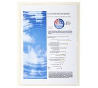 Exacompta - Ref 56310E - PVC Adhesive Display Pockets - Suitable for A4 Documents, Suitable for Storing Documents on Walls, Top Opening - Clear (Pack of 10)