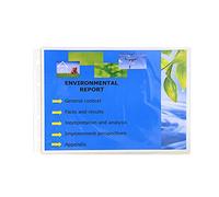 Exacompta - Ref 5734E - Box of 100 Punched Pockets with Bevelled Corners for Exactive Folders Ref 56034E - Smooth PP 5.5/100e - A4 Format - Horizontal - Crystal