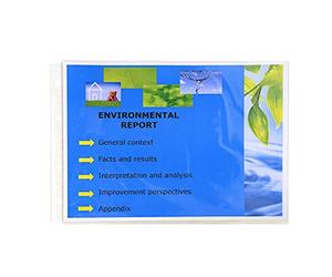 Exacompta - Ref 5734E - Box of 100 Punched Pockets with Bevelled Corners for Exactive Folders Ref 56034E - Smooth PP 5.5/100e - A4 Format - Horizontal - Crystal