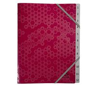 Exacompta - Ref. 58310E - File folder with 3 Maïa flaps - elastic closure - in recycled polypropylene - 12 compartments - dimensions 25x32 cm - for A4 - random colours