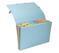 Exacompta - Ref. 58560E - 1 Watercolour Sorter Pocket Multicoloured Pastel Card 12 Compartments - Snap Closure - Format 34 x 24.5 cm for A4 Documents - Random Colour