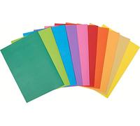 Exacompta - Ref. 807001E - Box of 300 ROCK'S 80 undershirts - assorted colors