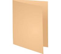 Exacompta - Ref 850002E - Box of 5 Packs of 250 Super 60 g/m2 Pastel Coloured folders - PEFC Certified folders - Size 22 x 31 cm for A4 Format - Bubble Colour