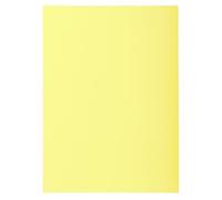 Exacompta - Ref 850105E - Box of 10 Packs of 100 Super 60 g/m2 Pastel Coloured folders - PEFC™ Certified folders - Size 22 x 31 cm for A4 Format - Canary Colour