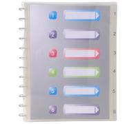 Exacompta - Ref 86320E - Box of 4 Removable Ring Binders - 30 Smooth Crystal Pockets - Removable Printed Rigid dividers - Rigid Polypropylene Cover - Crystal Colour