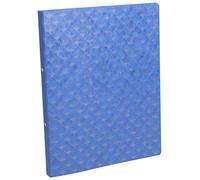 Exacompta ring binder glossy card Néo Déco 2 rings random colour